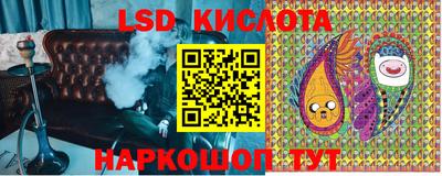 прущие грибы Краснодар