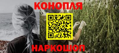 прущие грибы Краснодар