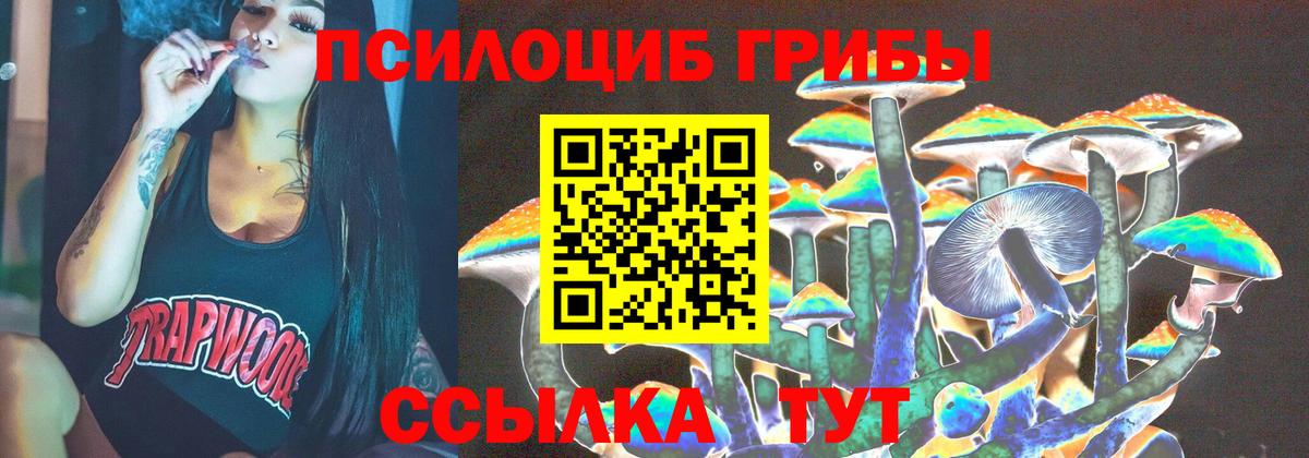 Псилоцибиновые грибы Cubensis Коммунар