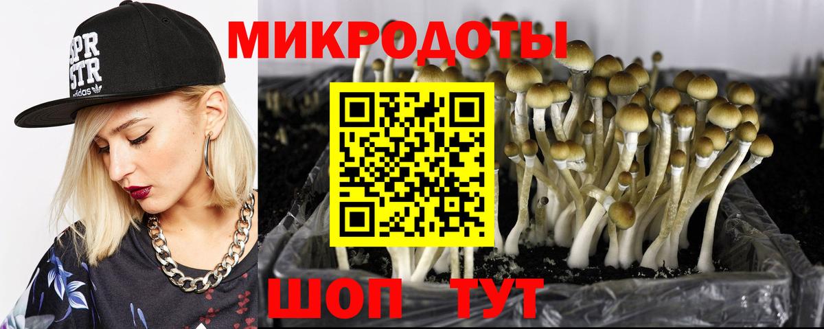 Коммунар  Псилоцибиновые грибы прущие грибы  Вход с VPN  Псилоцибиновые грибы MAGIC MUSHROOMS 